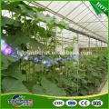 Custom wholesale best sell greenhouse woven plastic film